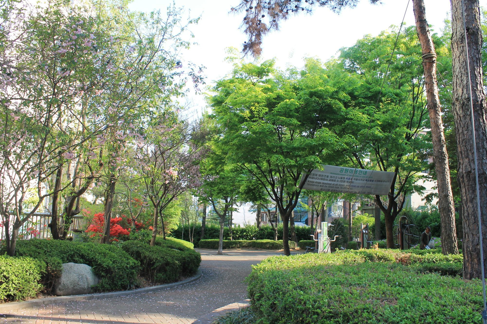 Hotel R Seoul